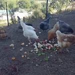 Sierra De Aguafria. El Robledillo * מונסטריו