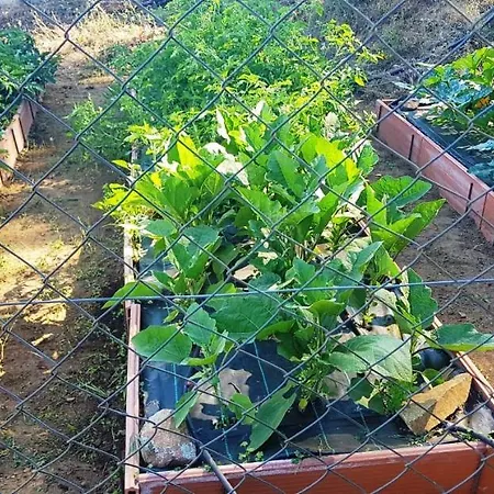 Sierra De Aguafria. El Robledillo Country house