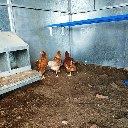 Sierra De Aguafria. El Robledillo Country house