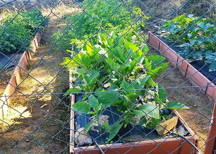 Casa Rural Sierra De Aguafria. Finca El Robledillo Séjour à la campagne