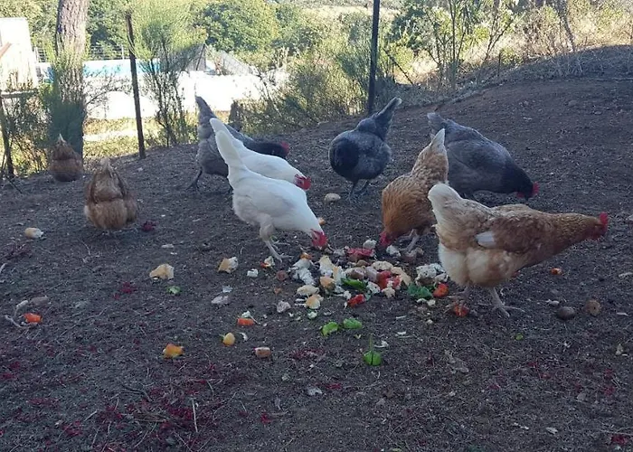 Sierra De Aguafría. El Robledillo * Monesterio