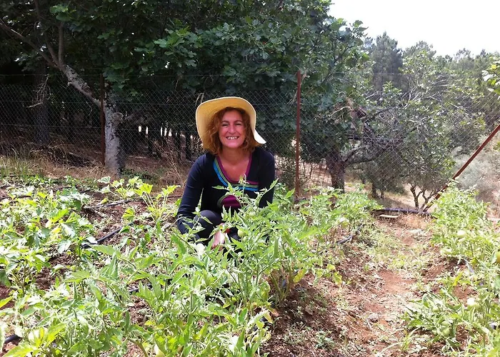 Séjour à la campagne Casa Rural Sierra De Aguafria. Finca El Robledillo *