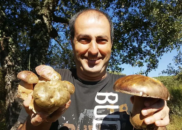 Sierra De Aguafria. El Robledillo