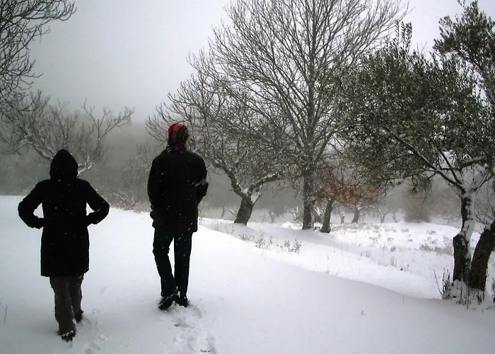 Séjour à la campagne Casa Rural Sierra De Aguafria. Finca El Robledillo Monesterio