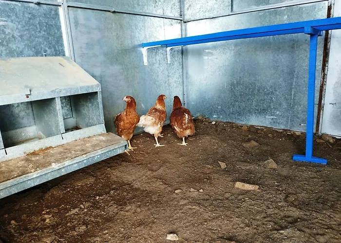 Casa Rural Sierra De Aguafria. Finca El Robledillo Séjour à la campagne